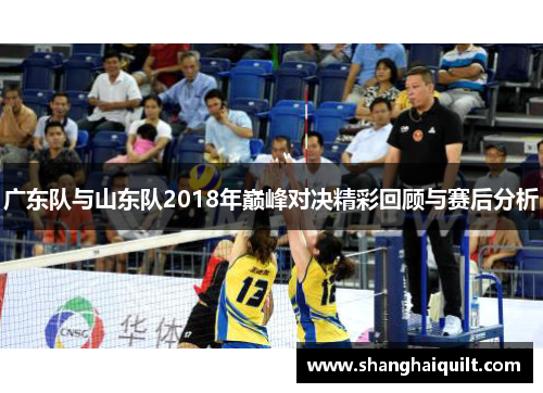广东队与山东队2018年巅峰对决精彩回顾与赛后分析
