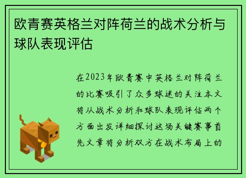 欧青赛英格兰对阵荷兰的战术分析与球队表现评估