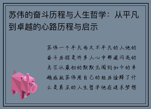 苏伟的奋斗历程与人生哲学：从平凡到卓越的心路历程与启示